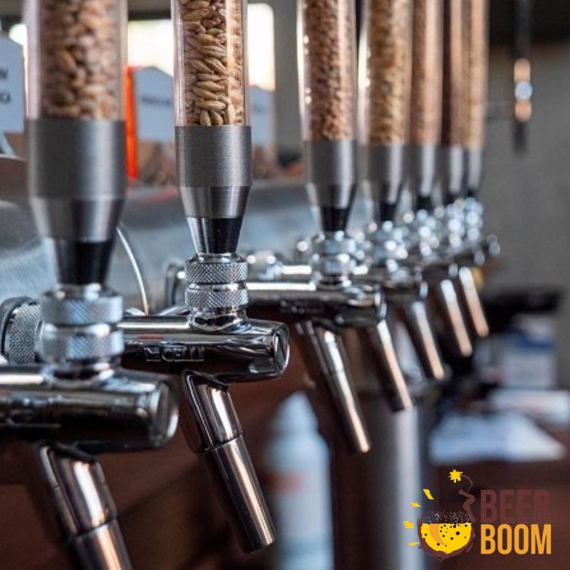 beerboom 2026 - 2026-09-23T145151.417